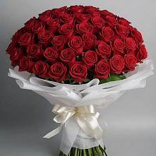 Букет 101 Красная роза Блэк Мэджик в Каневской