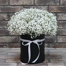 Цветочная композиция из Гипсофила в шляпной коробке #REPLACE_PRED# Каневской