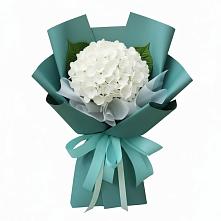 Букет цветов из:  Гортензия в Каневской